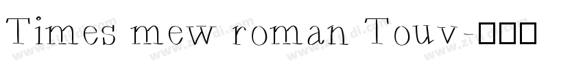 Times mew roman Touv字体转换 Times mew roman Touv字体转换
